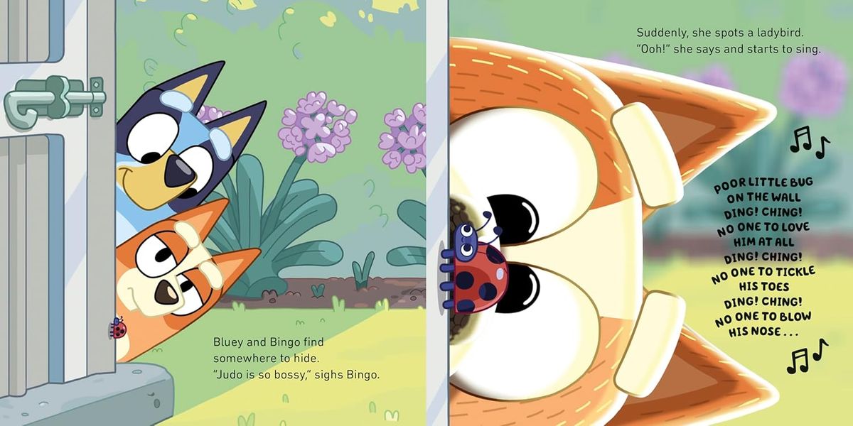 Bluey: Book and Toy