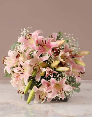 Stargazer Lilly Bouquet