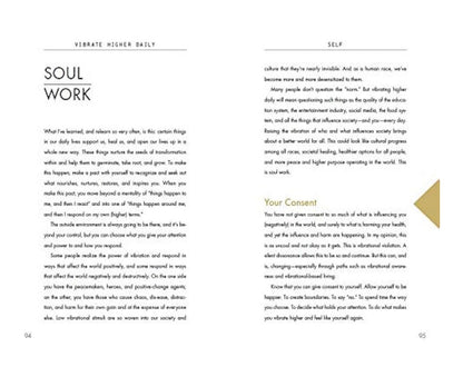 Vibrate Higher Daily: Live Your Power by Lalah Delia