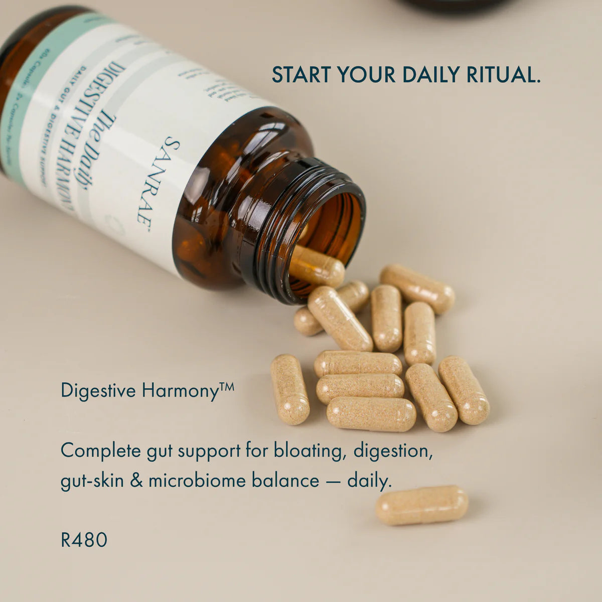 SANRAE The Daily Digestive Harmony™