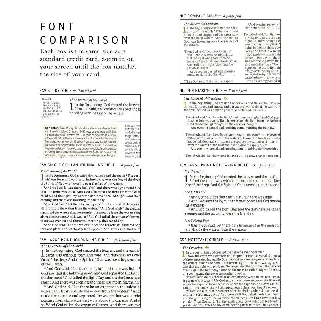 ESV JOURNALING BIBLE: FLORENCE THEME