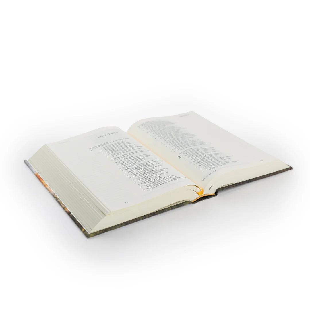 ESV JOURNALING BIBLE: FLORENCE THEME