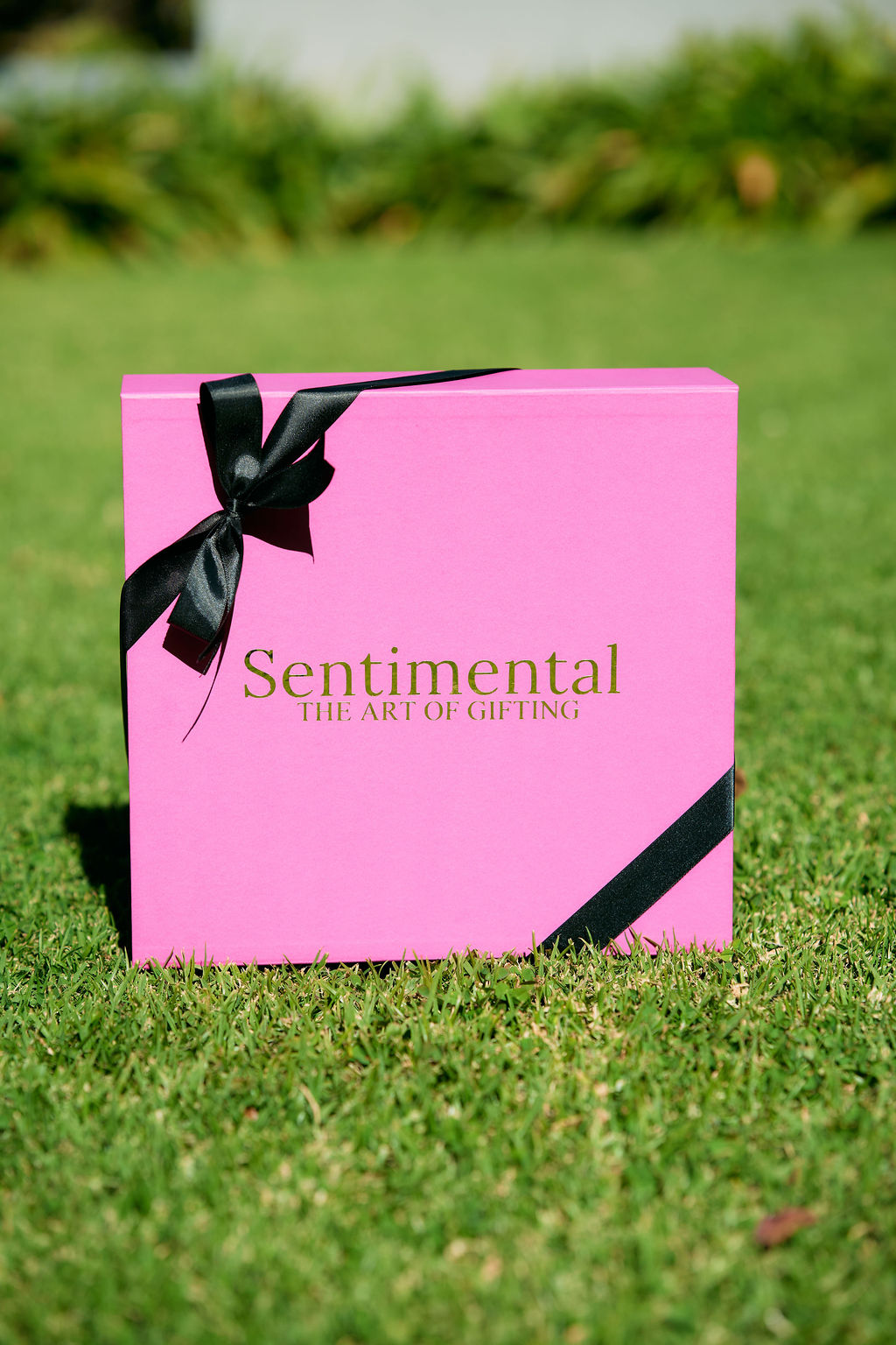 Elegant pink gift box with a black ribbon, featuring 'Sentimental The Art of Gifting' text on the front.
