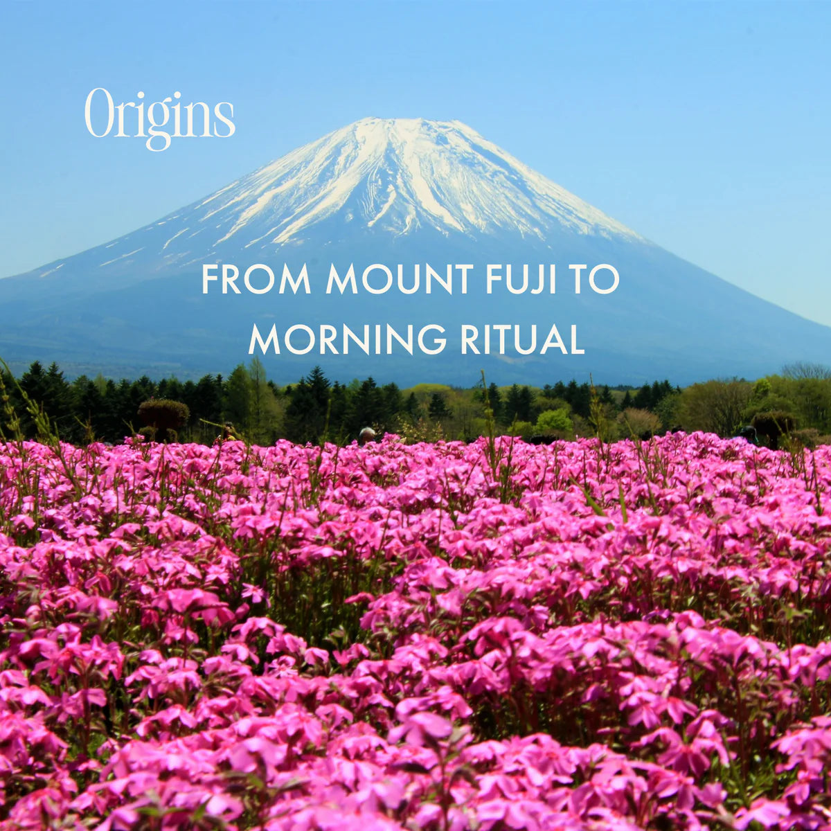 SANRAE Ceremonial Matcha (50g)