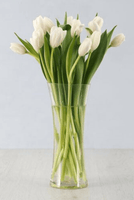 White Tulips