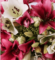 Pastel Pink and White Lillies