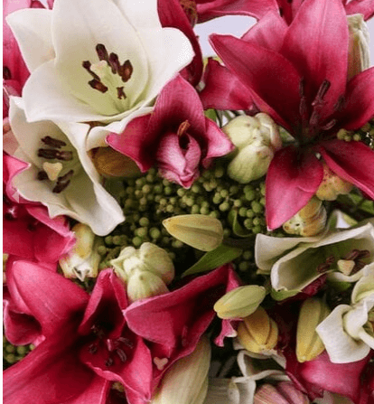 Pastel Pink and White Lillies