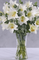White Lillies in a Glass Vase