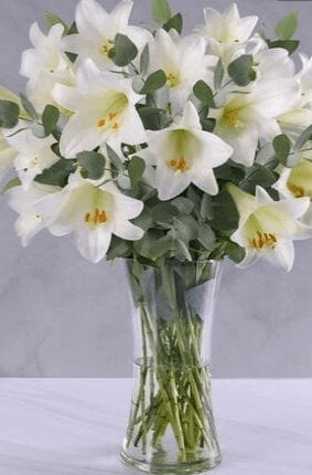 White Lillies in a Glass Vase