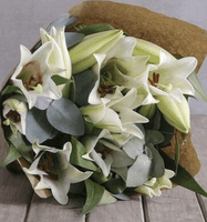 White Lillies